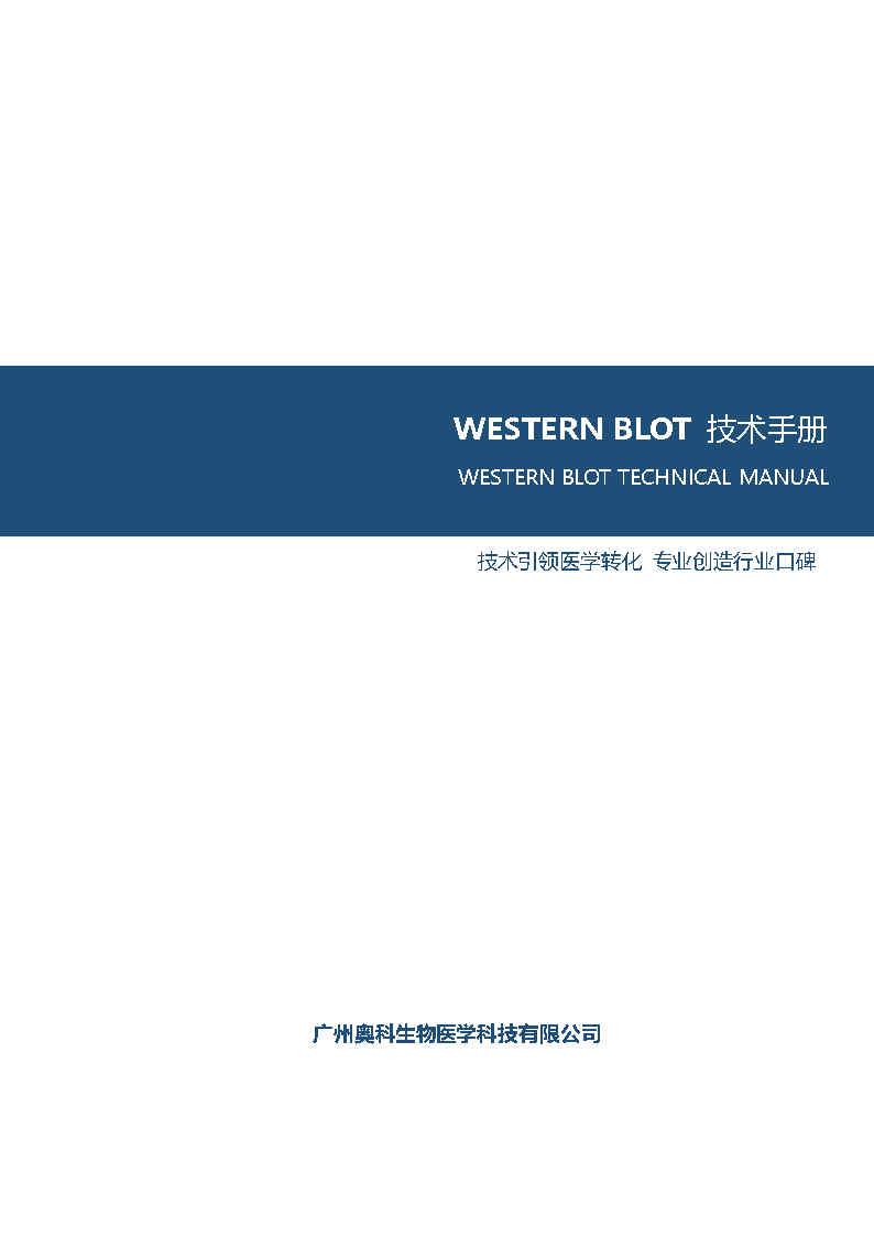 WESTERN BLOT 技术手册